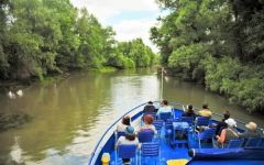 O zi in Delta Dunarii cu vaporasul!